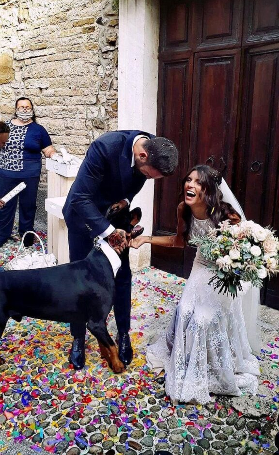 cane porta fedi matrimonio
